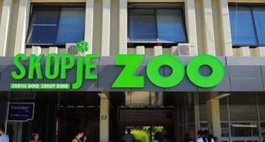 Почнува судењето за колежот на коњи во скопската ЗОО