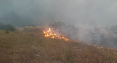 Линијата на огнот е подолга од 300 метри - гори кај Слупчане