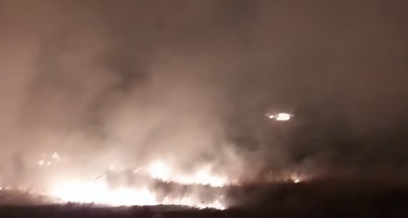 ПОЖАР ГОЛТАШЕ СЕ ПРЕД СЕБЕ: Пожарникарите синоќа се бореа со огнена стихија кај Драгоево, се активираше и локалното население