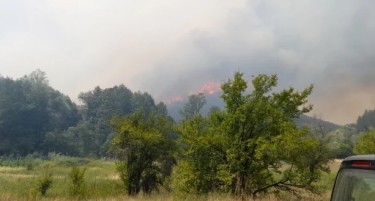 Пожар избувна  во Зелениково