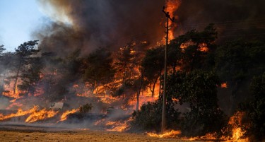 НАД 40 ПОВРЕДЕНИ И ПЕТ ЗАГИНАТИ ВО ПОЖАР ВО ТУРЦИЈА: на терен и понатаму екипи за спасување