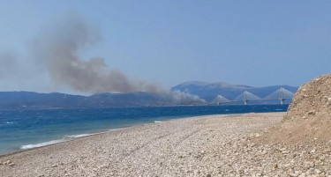 (ВИДЕО) ПОЖАРИ ВО ГРЦИЈА: Гори на Халкидики, хеликоптери се борат со огнената стихија