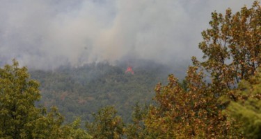 (ВИДЕО) ПОЖАРИ ВО РЕГИОНОТ: Гори во Црна Гора, Хрватска, Албанија и Грција