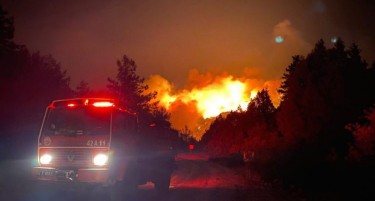 ГОРИ ВО ТУРЦИЈА: Eвакуирани се луѓето во Измир