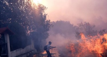 ПОЖАР НА СВЕТА ГОРА: Голем број пожарникари се борат со огнот