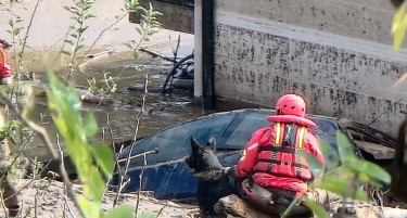 ВО БОСНА ИЗВЛЕКОА ДЕТЕ ЖИВО И ЗДРАВО ОД ПОД ПЛОЧА ТЕШКА ДВА ТОНА, по исчезнатите трага и кучето Зара