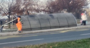 НОВИ САД: Падна автобуска постојка