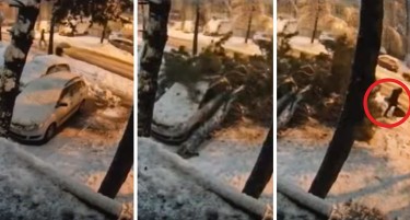 (ВИДЕО) СНЕЖНО НЕВРЕМЕ ВО БАЊА ЛУКА: Дрво падна врз пешак на тротоарот