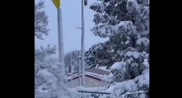 (ФОТО) СНЕЖНА ПРОЛЕТ ВО ГРЦИЈА: Обеле и Халкидики