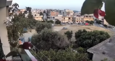 (ВИДЕО) СИЛЕН ЗЕМЈОТРЕС ОД 6.1 СТЕПЕНИ И ТАТНЕЖ: Жителите на Крит се разбудија во страв