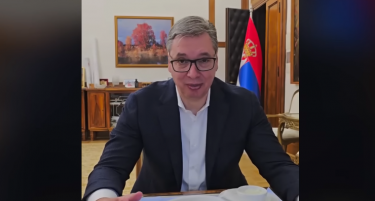 (ВИДЕО) ВУЧИЌ ЈАДЕ САРДИНИ: Вели како дете бил крив како прашалник и слаб како гранка