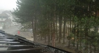 СИЛНО НЕВРЕМЕ ЈА ПОГОДИ ХРВАТСКА - над три илјади луѓе останаа без електрична енергија