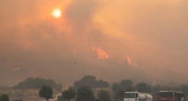 (ВИДЕО) ГОРИ ВО ИЗМИР: Еден човек загина
