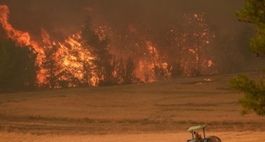 Во пожарите во Турција загинаа десет пожарникари