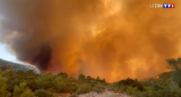 (ВИДЕО) ВО ФРАНЦИЈА ГОРИ ОБЛАСТ ПОГОЛЕМА ОД ПАРИЗ: Жена загина, огнот „проголта“ и куќи