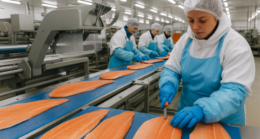 ДНЕВНО ПЕЧАЛИ ДО 170 ЕВРА, АМА КРВАВО ГИ ЗАРАБОТУВА: Ретко кој може да го работи ова што го работи Божидар