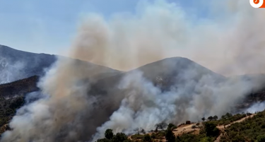 (ВИДЕО) Огнот во Албанија „проголта“ неколку села