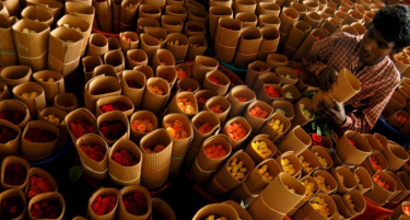 Инвестициите во оваа билка се големи, но и профитот е огромен: Со неа, бизнисот едноставно „цвета“