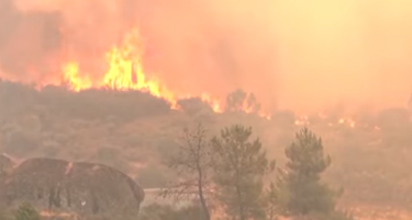 (ВИДЕО) Колку луѓе загинаа поради огнената стихија во Шпанија?