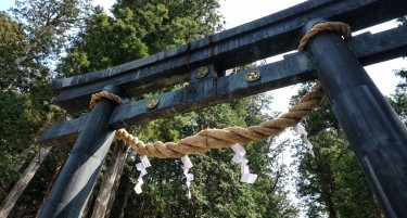 ИРАН: Јавно погубен маж осуден за повеќекратно убиство