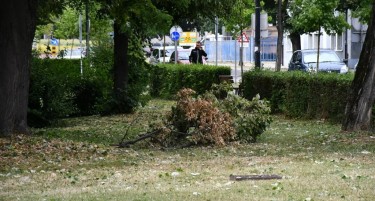 (ВИДЕО) Урнати дрвја, искорнати покриви - невреме ја зафати Хрватска