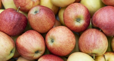 Производството на јаболка во ЕУ е намалено - која земја има најголеми количини?