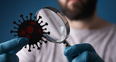 Вируси и како да се заштитиме