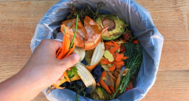 Што претставува био-отпадот и зошто е важно да го селектираме?