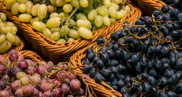 Хрватите бараат берачи на грозје, објавена е и платата