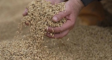 ОРИЗОТ НА УДАР НА ГОЛЕМИТЕ ТЕМПЕРАТУРНИ РАЗЛИКИ - климатските промени го расипуваат квалитетот