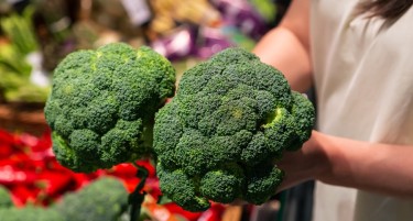 БАРАТЕ ОДРЕДЕН ПРОИЗВОД, А НЕ МОЖЕТЕ ДА ГО НАЈДЕТЕ: Дали се намалува изборот на пазарите?