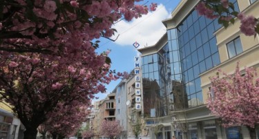 Како да земете бизнис кредит по најповолни услови, но во исто време да бидете заштитени?