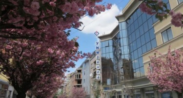 Грижа за вработените: УНИБанка отвори простор за поврзување и релаксација