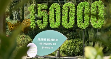 „Зелена иднина: од градинка до училиште“: дм дрогерие маркт најави раззеленување на училишните дворови низ целата земја