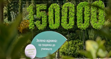 „Зелена иднина: од градинка до училиште“: дм дрогерие маркт најави раззеленување на училишните дворови низ целата земја