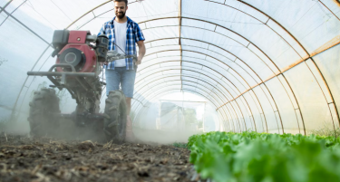 За колку се зголемиле цените на земјоделското производство?