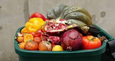 Собирање и валоризација на биоотпад: Проблеми и решенија