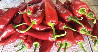 Опасна супстанца пронајдена во црвени пиперки од Македонија – нивоата на пестициди можат да го оштетат црниот дроб и бубрезите