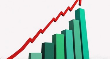 ТРИ ПРОЦЕНТИ РАСТ НА БДП ВО 2024 - еве кои сектори имаа најголем удел