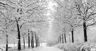 Ла Ниња носи зима каква што не сме виделе одамна: Метеоролозите предупредуваат на необични промени