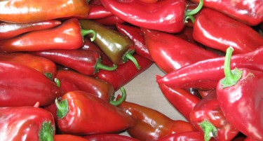 ДАЛИ ЦРВЕНИТЕ ПИПЕРКИ СЕ МАКЕДОНСКИ? Трипуновски фрли сомнеж за потеклото на пиперките од Хрватска, ќе чека службите да проверат, пратката не е вратена во земјава