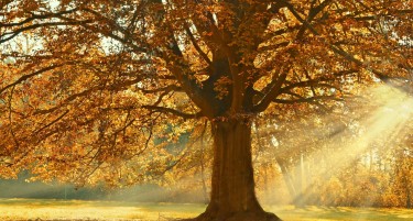 ГОЛЕМО ЗАТОПЛУВАЊЕ НА ВРЕМЕТО: Крајот на неделава носи турбулентно време