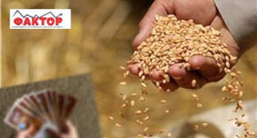 ЖИТО ПОЛОГ СО ПАД ВО ПРОДАЖБАТА: загубите надминуваат 500 илјади евра, еве какви мерки планираат за надминување на состојбите