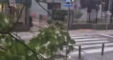 (ВИДЕО) Падна дрво пред основното училиште „Киро Глигоров“ во Капиштец