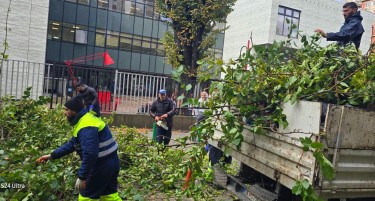 УЛИЦАТА Е НЕПРООДНА ЗА ВОЗЕЊЕ: Се отстрануваат паднатите дрвја во Капиштец