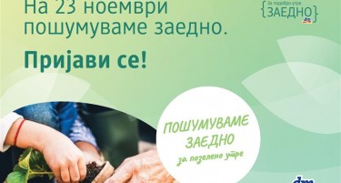 Четврта сезона на dm еко-проектот „Пошумуваме заедно за позелено утре“: Пријавете се и бидете дел од најмасовната акција за пошумување досега!