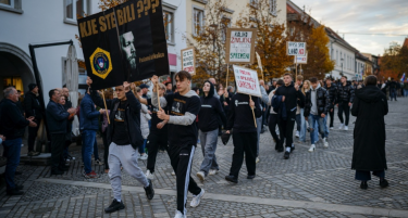 По убиството во Ново место, полицајци и војници ќе патролираат во Словенија