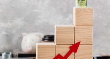 Кој регион најмногу придонесува за македонскиот БДП?