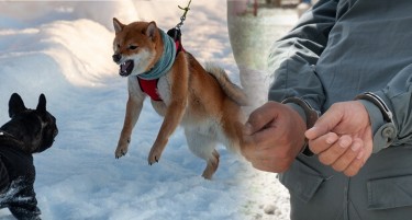 ОРГАНИЗИРАЛЕ БОРБИ СО КУЧИЊА: Уапсени деветмина, жители на Косово, Битола и Штип