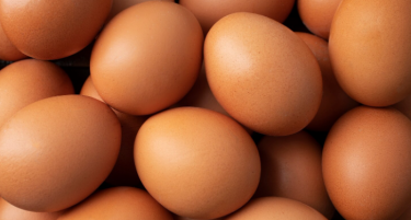 Поскапеа јајцата како основен продукт во Македонија